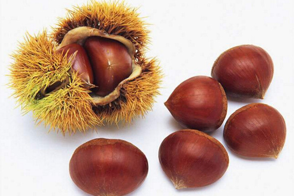 板栗的營養(yǎng)價(jià)值高嗎 板栗對(duì)身體有哪些好處