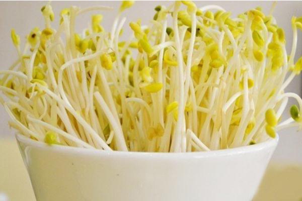 豆芽是什么季節(jié)的菜 豆芽是用什么豆發(fā)出來(lái)的