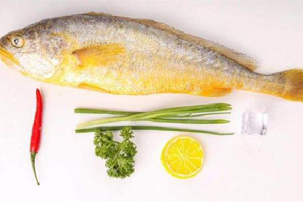 黃花魚(yú)是海魚(yú)還是淡水魚(yú) 黃花魚(yú)屬于海鮮嗎