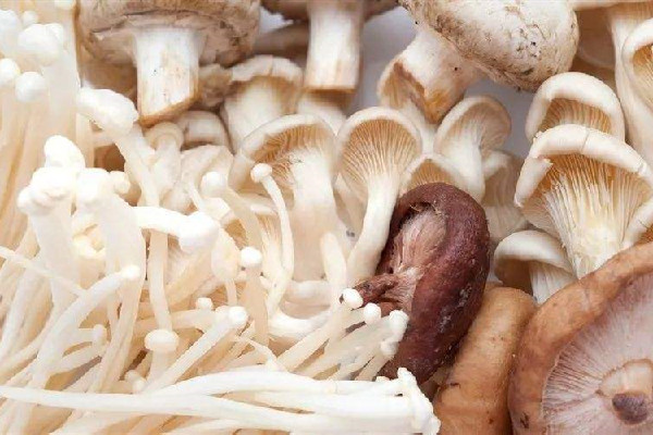 蘑菇有毒無毒怎么區(qū)分 蘑菇怎么吃不會(huì)中毒