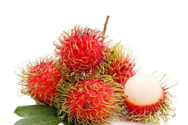 紅毛丹有毒嗎 紅毛丹有哪些營養(yǎng)價(jià)值