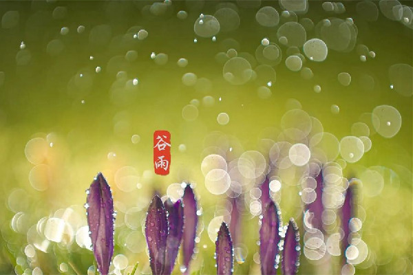 谷雨節(jié)氣會下雨嗎 谷雨節(jié)氣下雨好還是不下雨好