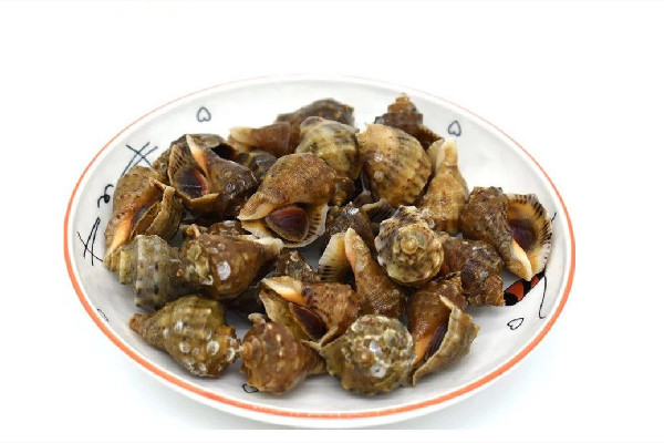 大海螺開(kāi)鍋蒸幾分鐘好 大海螺蒸還是煮著好吃