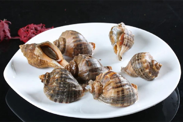 大海螺開(kāi)鍋蒸幾分鐘好 大海螺蒸還是煮著好吃