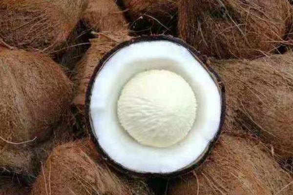 椰寶要怎么打開(kāi) 椰寶要放冰箱嗎