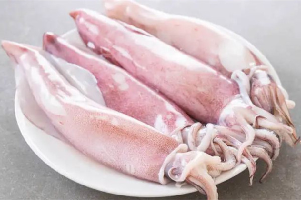 新鮮魷魚多少錢一斤市場(chǎng) 新鮮魷魚是什么樣子