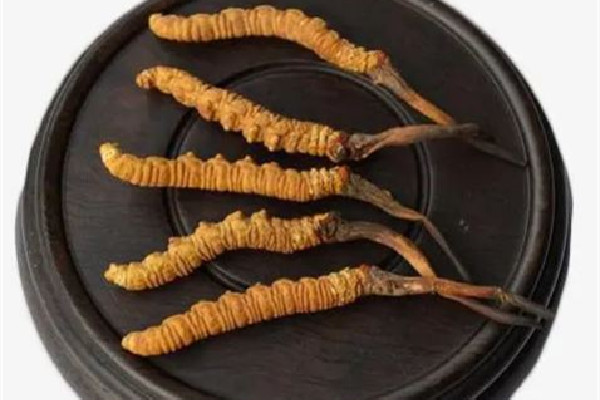 冬蟲夏草的價(jià)位大概是多少 冬蟲夏草哪個(gè)品牌質(zhì)量好