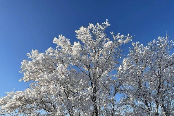 數(shù)九是按陰歷還是陽(yáng)歷 數(shù)九的來(lái)歷和風(fēng)俗